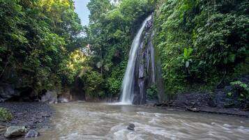 Ein Wasserfall inmitten eines üppigen, grünen Waldes.