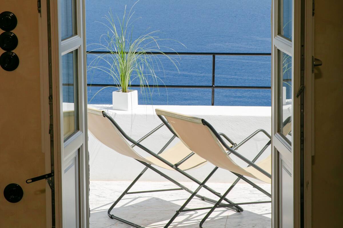 An open door leading to a balcony with a view of the sea and a plant.