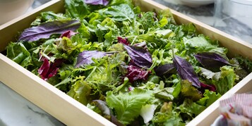 Una caja de madera llena de hojas de ensalada verdes y moradas.