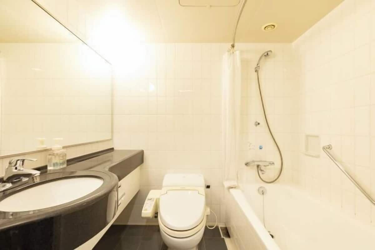 Combined shower/bathtub, hair dryer, slippers, electronic bidet