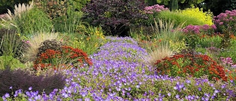 المنطقة المحيطة بالمنشأة