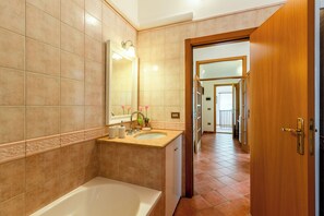 Bathtub, hair dryer, bidet, soap