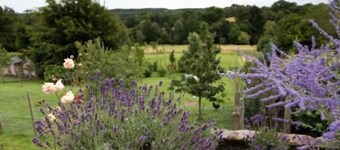 Gorgeous Studio with fast wifi on 55 acres ❤️