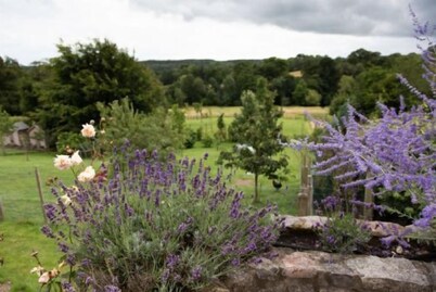 ❤️ Large & Spacious room fast wifi on 55 acres AONB