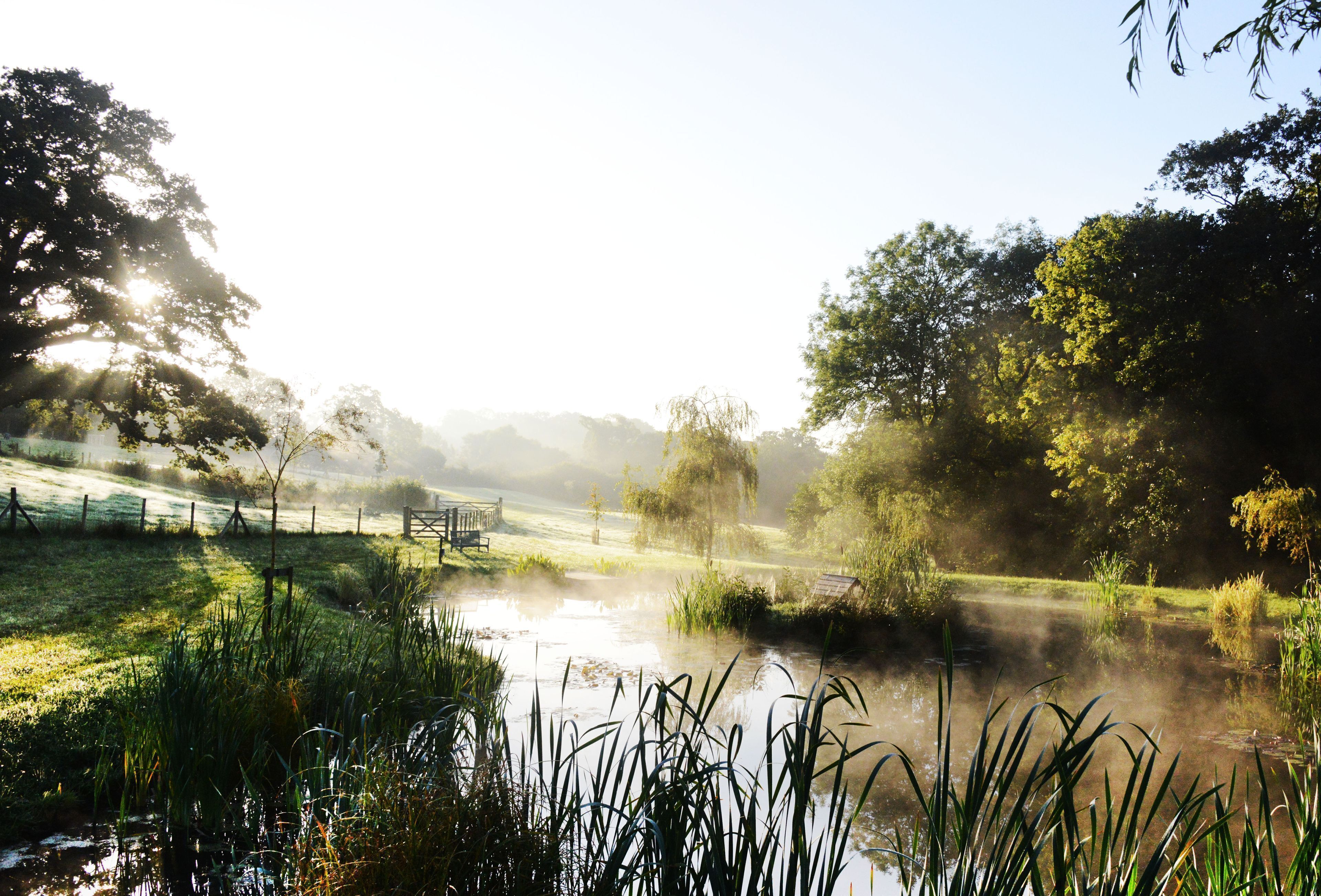 A serene landscape with a pond, trees, and a fence.