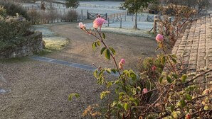 Een uitzicht op een tuin met een stenen muur, een pad en een hek.