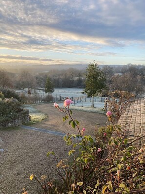 Property grounds - ❤️ Gorgeous 3 bed cottage dog friendly, fast wifi, large garden (Radstock)