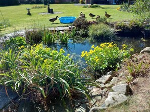 Cottage | Property grounds - A Serene and Tranquil Escape for two (Wrexham)
