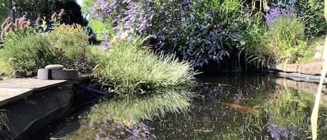 Ferienhaus | Unterkunftsgelände