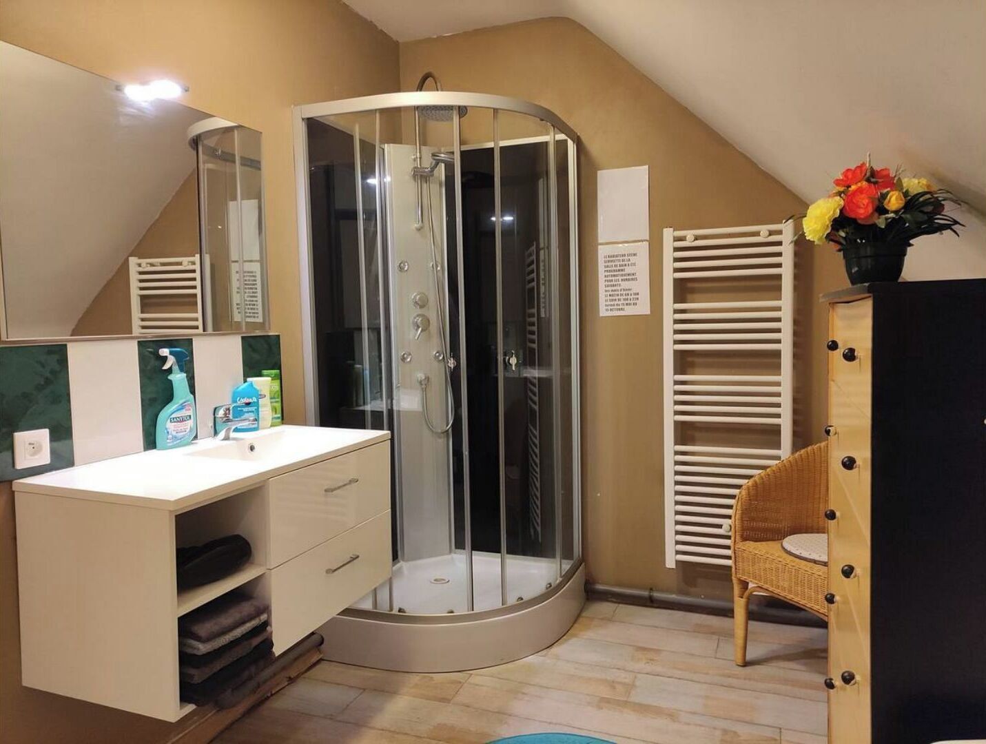 Dusche, Haartrockner, Handtücher, Seife
