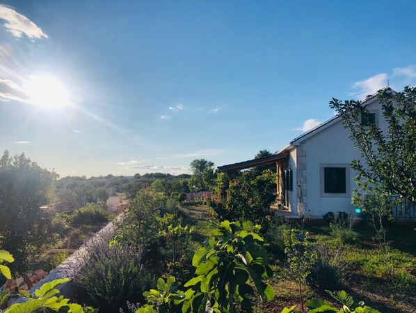 House, 2 Queen Beds | Property grounds
