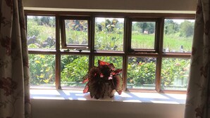 Ein Zimmer mit großem Fenster, Heizkörper darunter und einem Bett mit floralem Bettzeug.