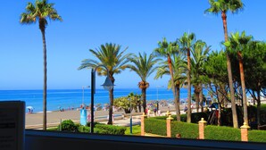 Une vue d’une plage bordée de palmiers, avec un ciel bleu et dégagé.