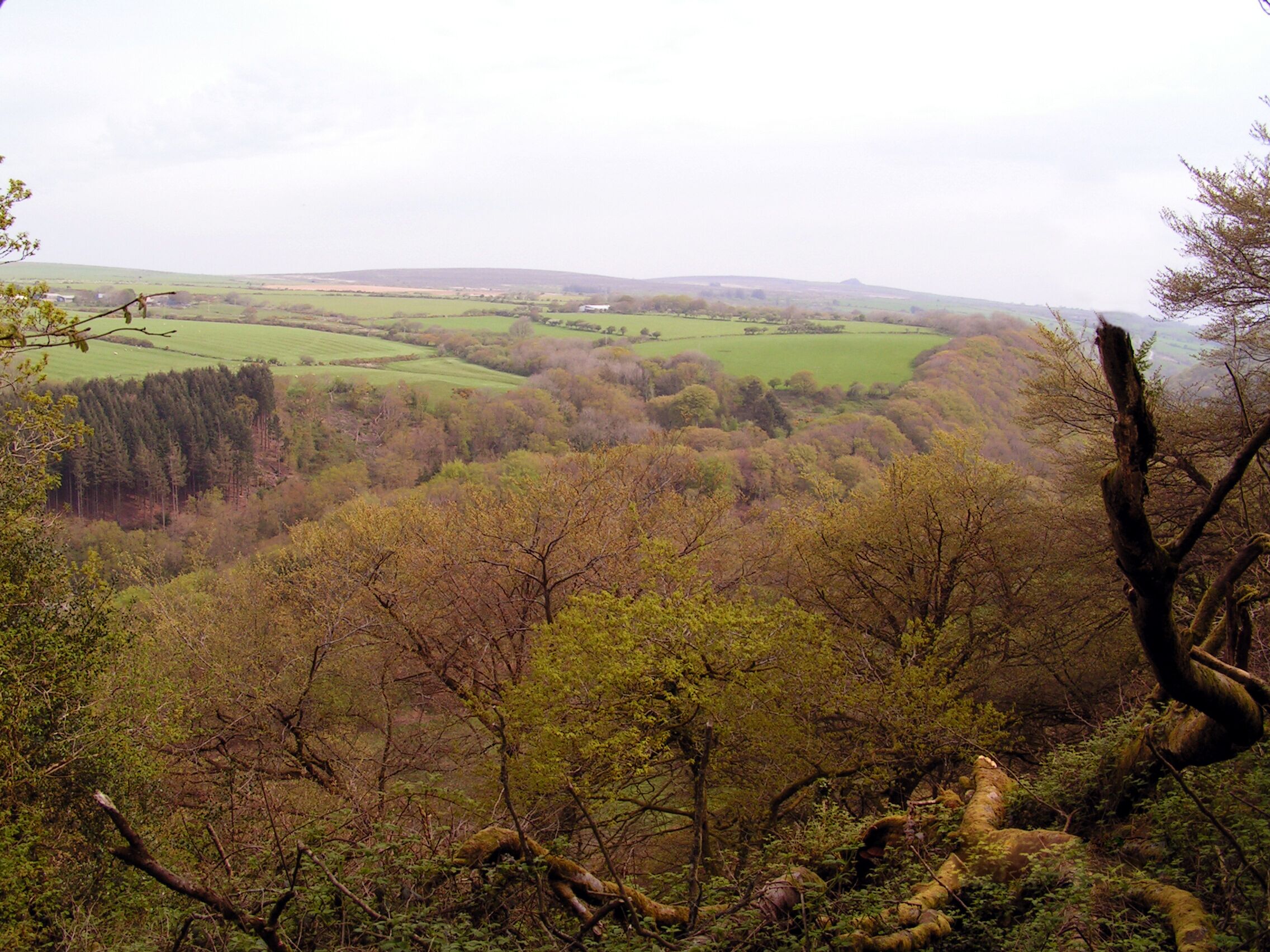 Une vue panoramique d’un paysage comprenant une vallée, des arbres et des collines au loin.