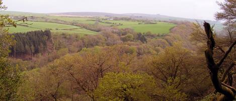 Une vue panoramique d’un paysage comprenant une vallée, des arbres et des collines au loin.