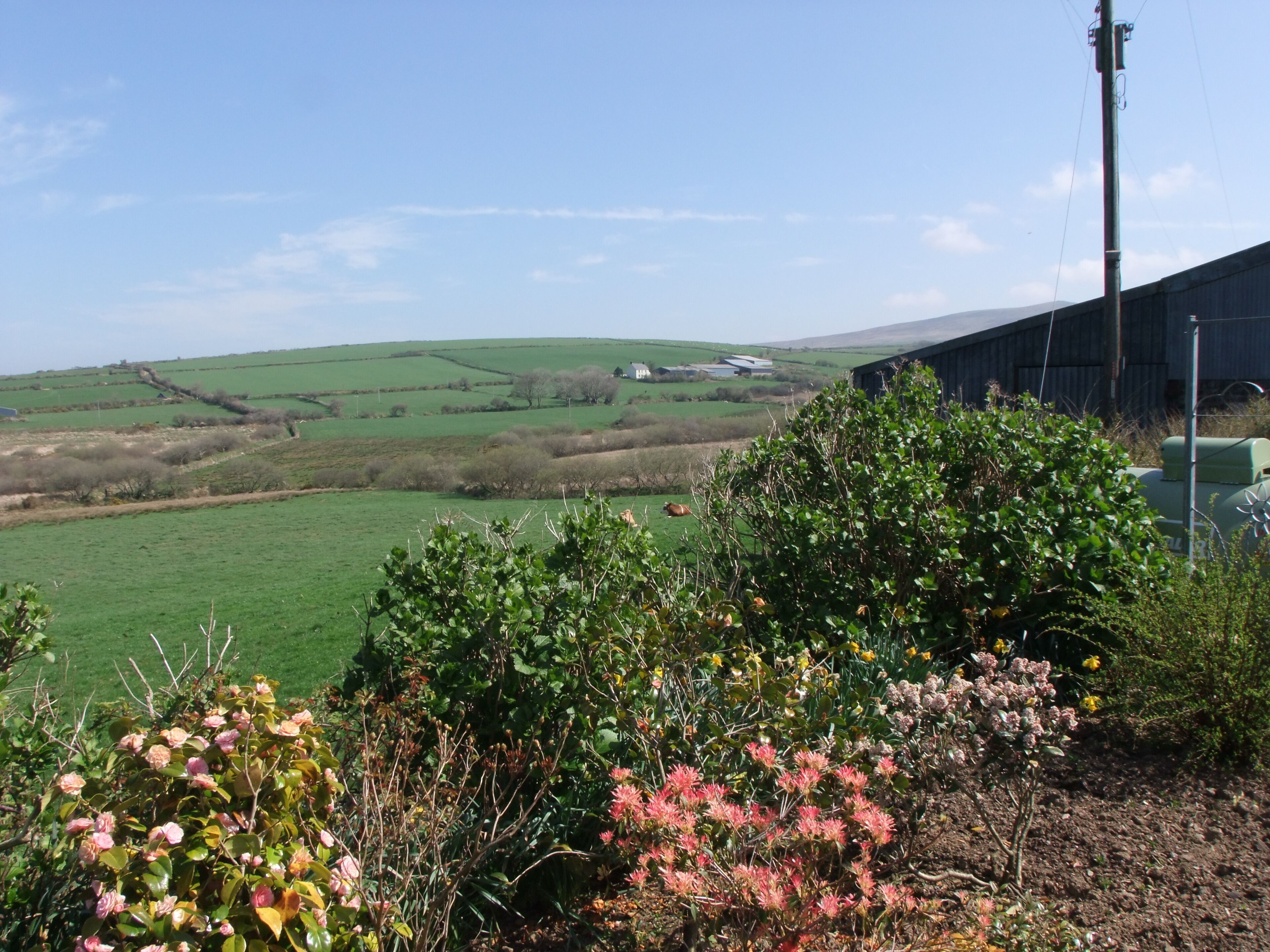 A rural landscape with rolling green fields, a barn, and a power line.
