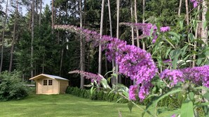 A small wooden cabin with a sloped roof, surrounded by a well-maintained grassy area and dense forest in the background. - Waldchalet am Eichhof (Natters)