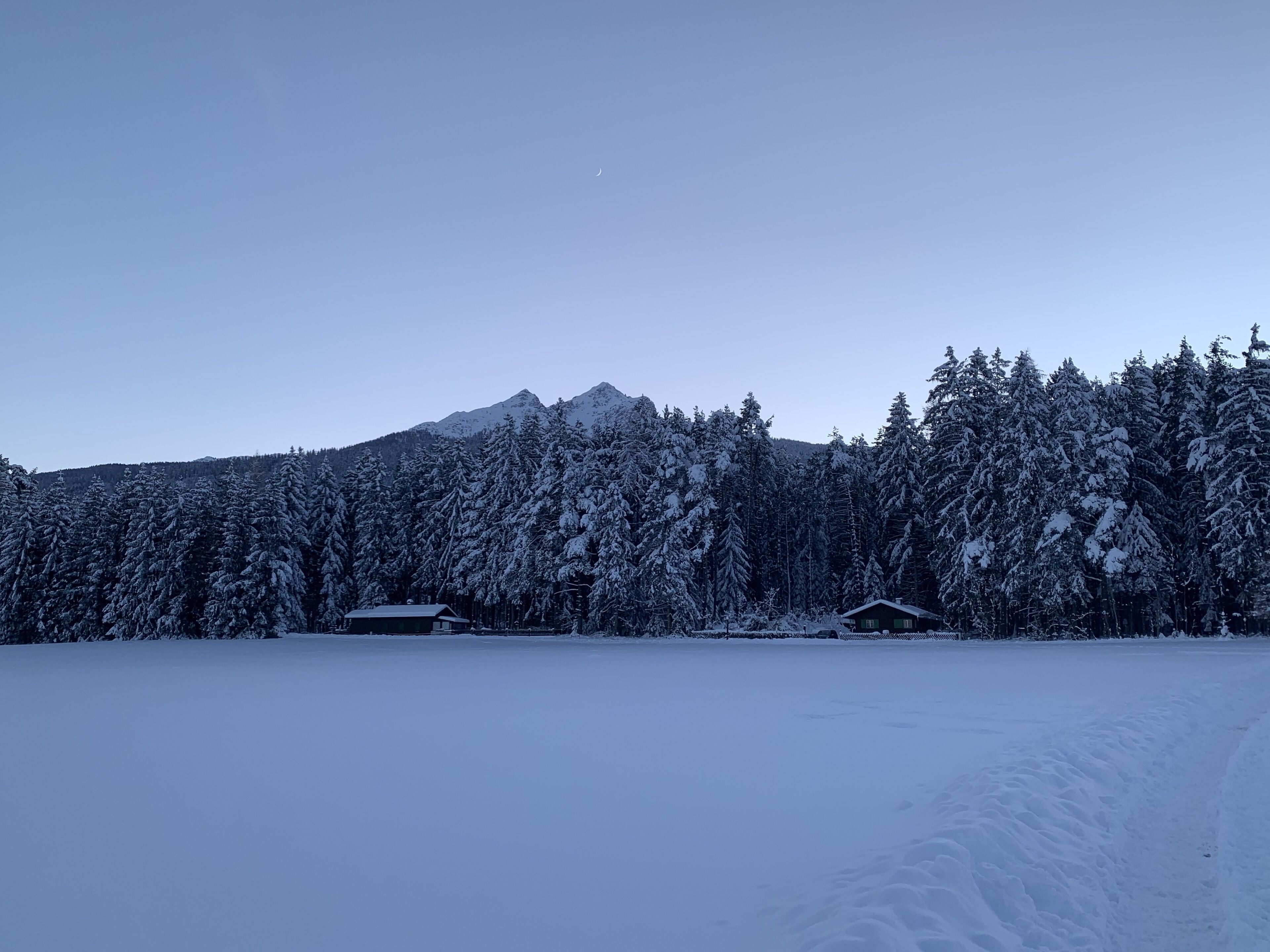A snowy landscape with a cabin and dense forest.