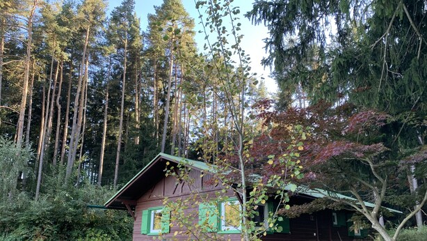 A cabin with a green roof, surrounded by tall trees and a wooden fence. - Waldchalet am Eichhof (Natters)