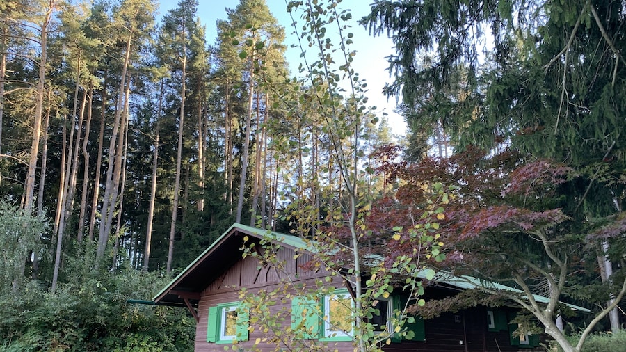 Waldchalet am Eichhof