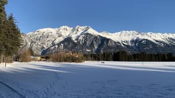 Traditional Chalet | View from room
