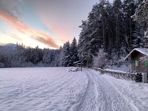 Ulkopuoli