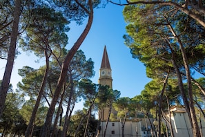 A church with a tall spire and a clock tower, surrounded by tall pine trees.