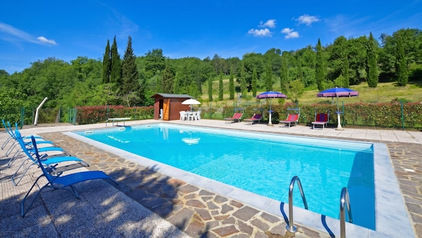 Piscina con sillas de descanso y sombrillas, rodeada de baldosas de piedra y follaje.