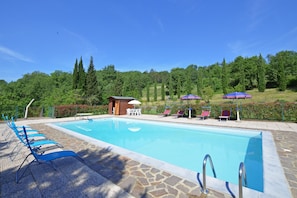 Piscina con sillas de descanso y sombrillas, rodeada de vegetación.