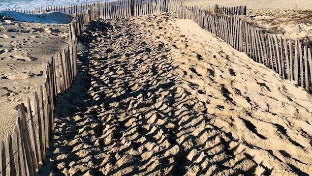 Una playa arenosa con una valla de madera que conduce al agua.