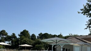 Una piscina con sillas de descanso y sombrillas, rodeada de una valla y árboles.