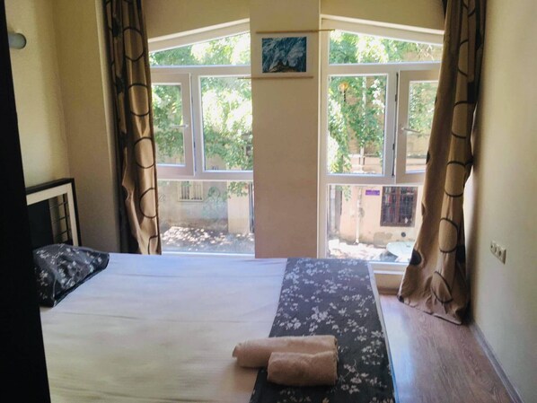 Basic Suite | 1 bedroom, iron/ironing board, free WiFi - Double room Erekle Tatishvili street (Tbilisi)