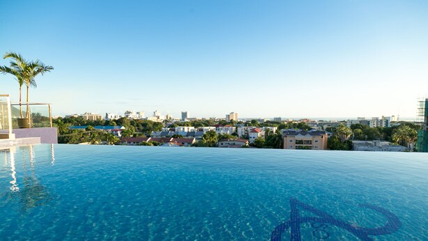 A clear blue infinity pool with a palm tree and a cityscape in the background. - 20 South Apartments (Kingston)
