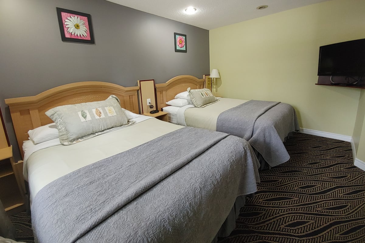 A hotel room with two beds, a television, and a patterned carpet.