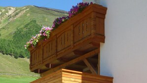 A wooden outdoor seating area with a table and benches, a wooden structure with a flower box, and a view of a green hillside. - Alpen Suite- New vacation apartment in a fantastic location with stunning panoramic views (Trentino - Alto Adige)