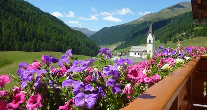 Alpen Suite- New vacation apartment in a fantastic location with stunning panoramic views