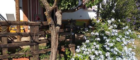 Terassi/patio
