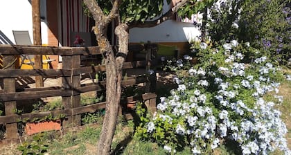 Holiday apartment Alcuescar for 1 - 2 persons - Holiday apartment in one or multi-family house