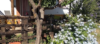 Holiday apartment Alcuescar for 1 - 2 persons - Holiday apartment in one or multi-family house