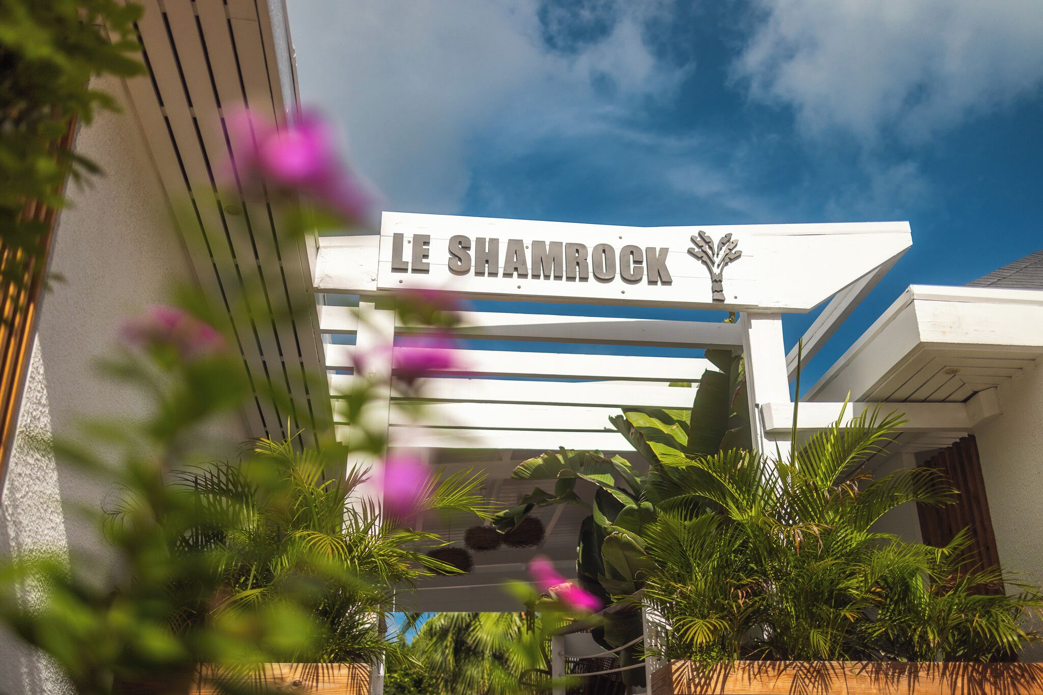 The exterior of Le Shamrock with a clear sky and lush greenery.