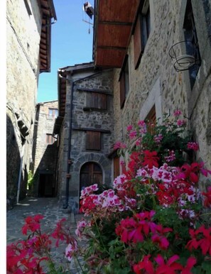 Stroll through this charming alleyway lined with traditional stone buildings and vibrant flowers.