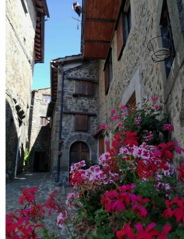 Stroll through this charming alleyway lined with traditional stone buildings and vibrant flowers.