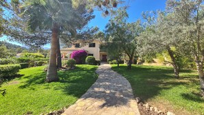 Un chemin de pierres mène à une maison entourée d’une végétation luxuriante et d’arbres.