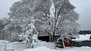 A snow-covered landscape with trees and a red building.