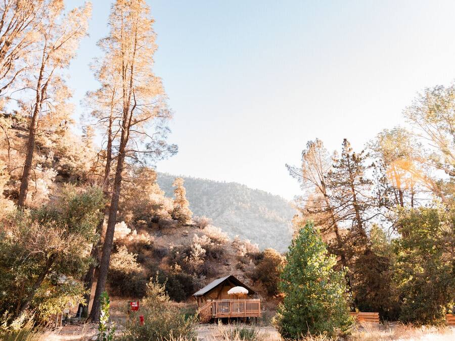 A rustic cabin with a wooden deck, surrounded by dense trees and a mountainous backdrop.