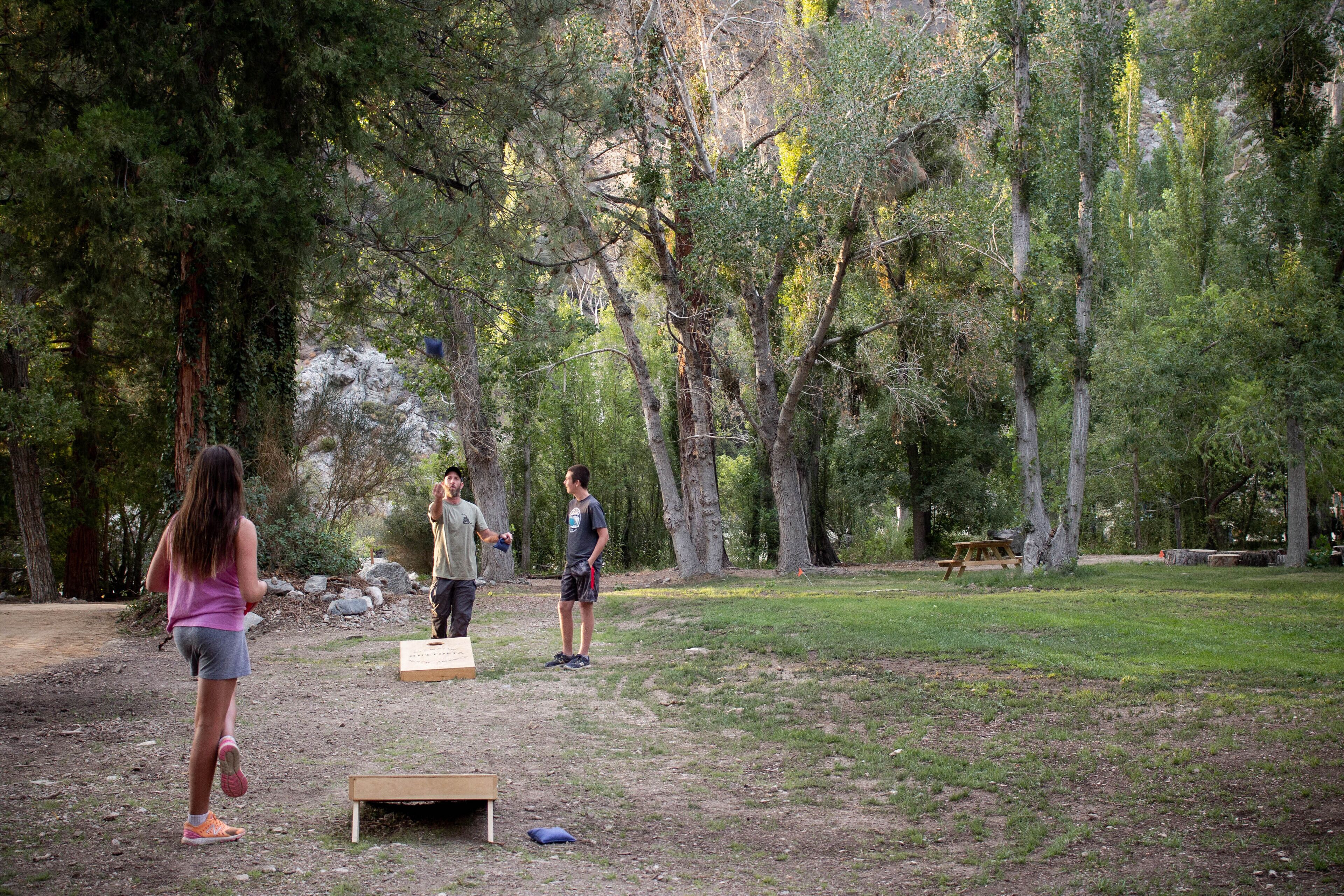 Un parc doté de tables de pique-nique et offrant un cadre naturel.