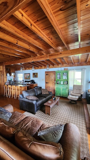 Smart TV, fireplace, DVD player, books