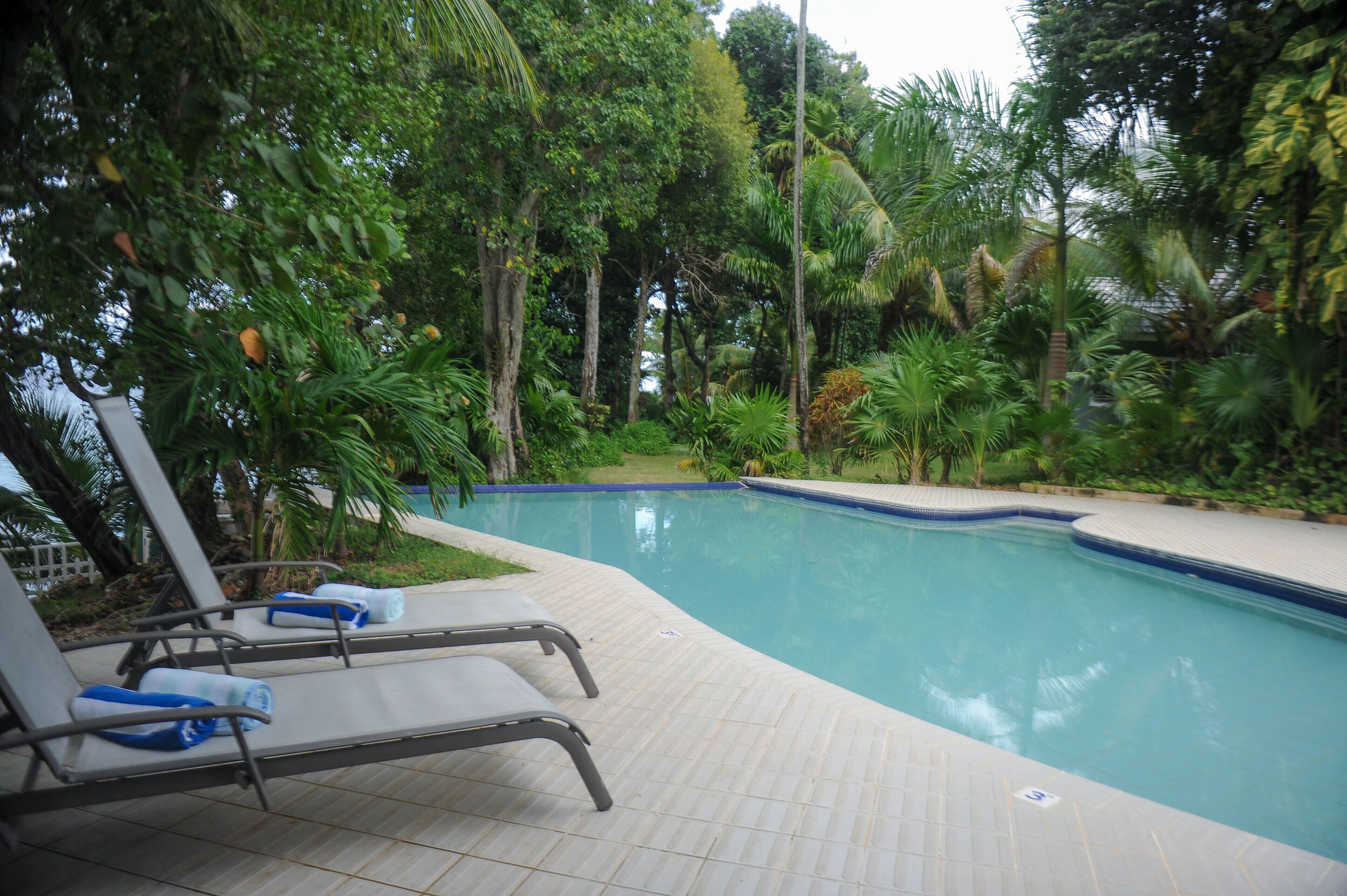 A swimming pool with lounge chairs and tropical vegetation.