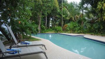 A swimming pool with lounge chairs and tropical vegetation.