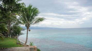 A coastal view with a palm tree and a clear sky.